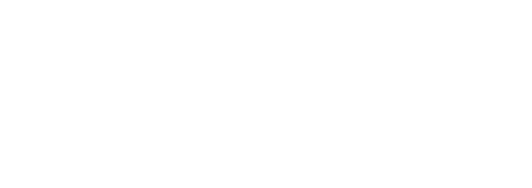 NYU Center for Disability Studies logo (featuring NYU torch icon)
